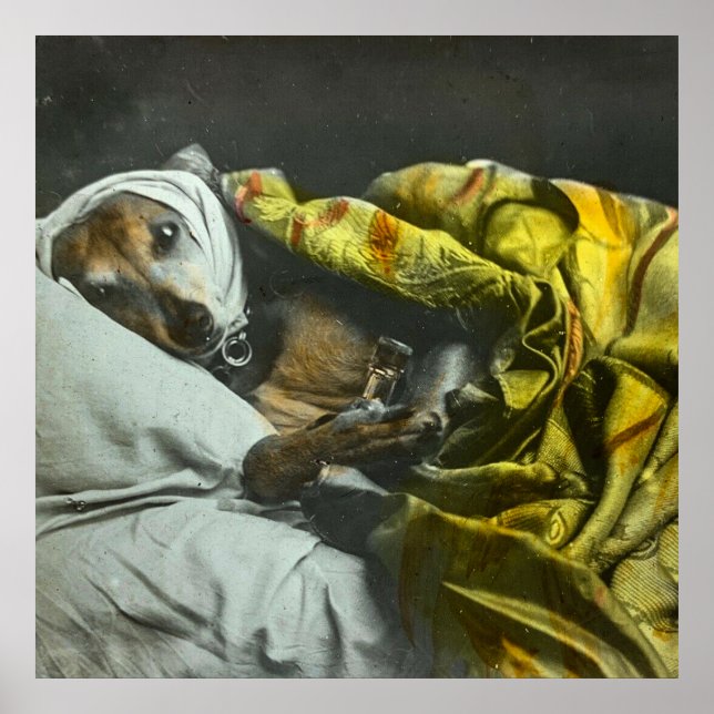 Als Hund Vintag magische Laternenmatte Poster (Vorne)