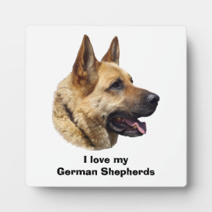 Alsatisches Schäferhundportrait Fotoplatte