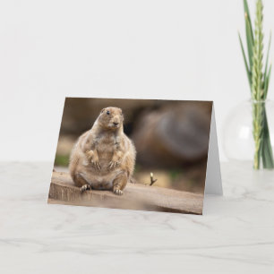 Also bin ich ein bisschen Kurz für meine Gewichtka Karte