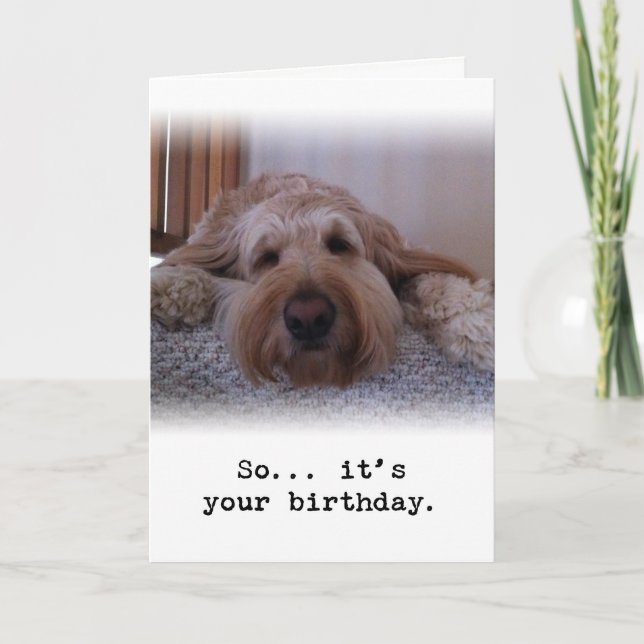 Also... Es ist dein Geburtstag Karte (Vorderseite)