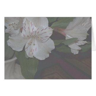 Alstroemeria-Blumen