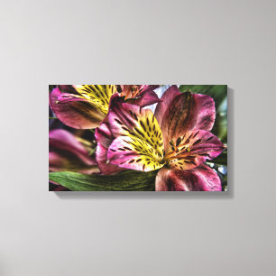 Alstroemeria Peruvian Lily Blume Canvas Print Leinwanddruck