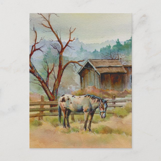 ALT BARN & APPALOSA von SHARON SHARPE Postkarte (Vorderseite)
