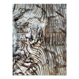 ALT ENGLAND FOTODRUCK