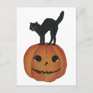 Alt modischer Halloween Jack-O-Lantern & Black Cat Postkarte