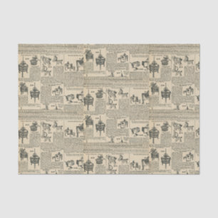 Alt modischer Katalog Seidenpapier