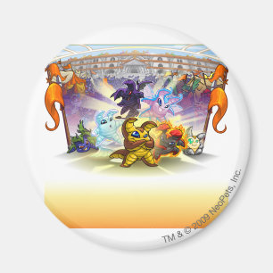 Altador Schale 2010 Magnet