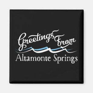 Altamonte springt Wasserwellen Magnet