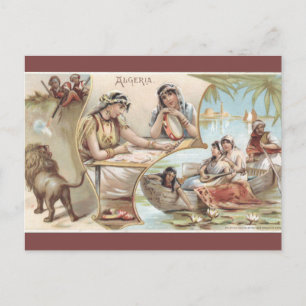 Alte algerische Postkarte