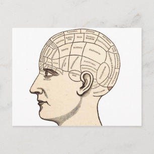 Alte Anatomie-Gehirnkarte-Bild Postkarte