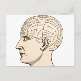 Alte Anatomie-Gehirnkarte-Bild Postkarte