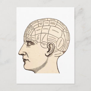 Alte Anatomie-Gehirnkarte-Bild Postkarte