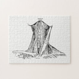 Alte Anatomie-Illustrations-Muskeln des Halses Puzzle