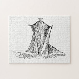 Alte Anatomie-Illustrations-Muskeln des Halses Puzzle