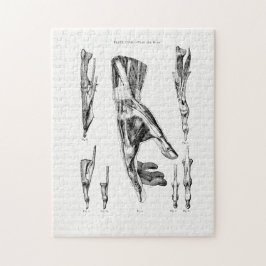 Alte Anatomie KunstMuskeln der Hand und des Handge Puzzle