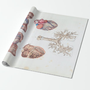 Alte Anatomie von menschlichem Herzen und Lungen Geschenkpapier