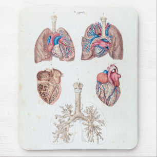 Alte Anatomie von menschlichem Herzen und Lungen Mousepad
