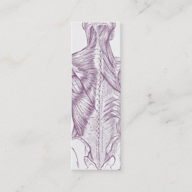 Alte Anatomiekunstmuskeln von dem hinteren Lila Mini Visitenkarte (Vorderseite)