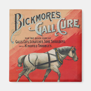 Alte Anzeige für Bickmore's Gall Cure für Pferde. Magnet
