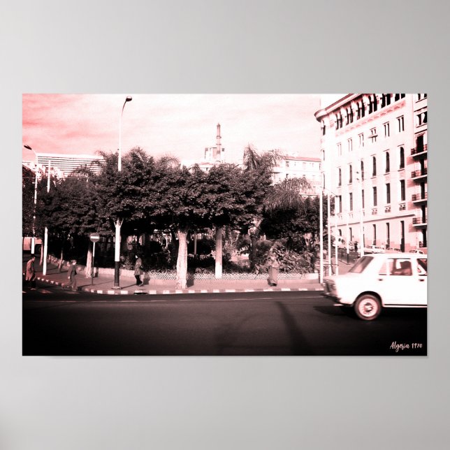 Alte Autos Gebäude Algerien Algier Poster (Vorne)