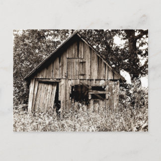 Alte Bauernhof-Halle Postkarte