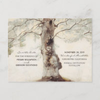 Alte Baum Landhochzeit Postkarten zur Vorankündigu