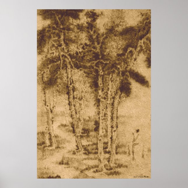 Alte Bäume drucken Poster (Vorne)