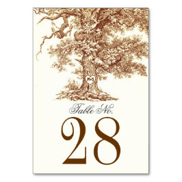 Alte Bäume Hochzeit Tischnummer Karten Platzkarten