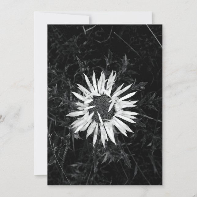 Alte Blume Einladung (Vorderseite)