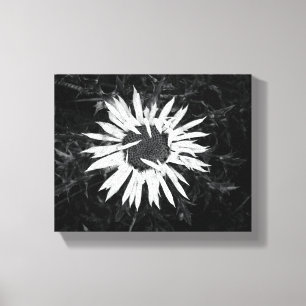 Alte Blume Leinwanddruck