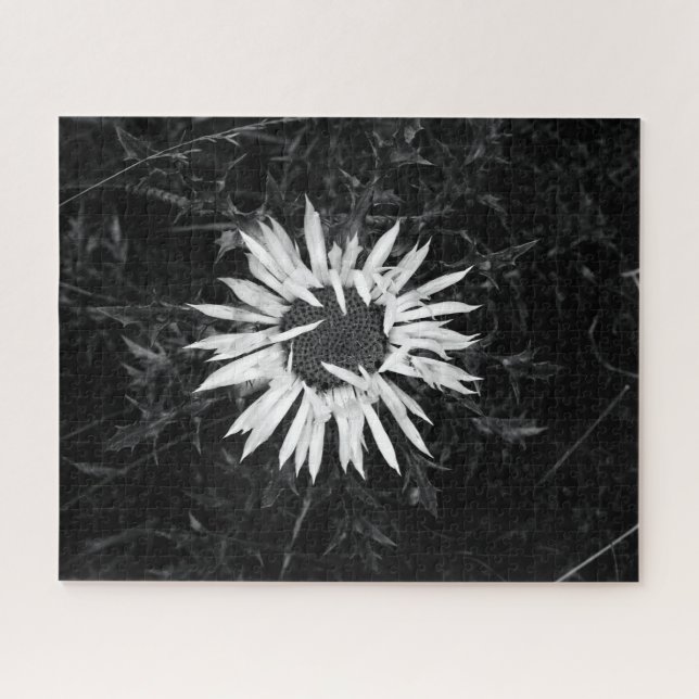 Alte Blume Puzzle (Horizontal)