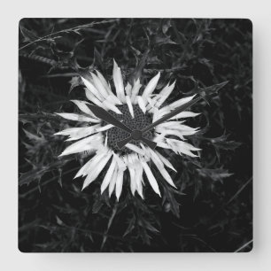 Alte Blume Quadratische Wanduhr