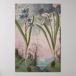 Alte botanische Kunst Snowdrop Poster