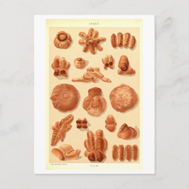 Alte Brote Italiens Postkarte (Vorderseite)