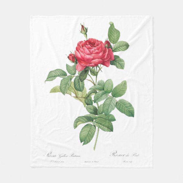 Alte Brückenrose Fleecedecke (Vorderseite)