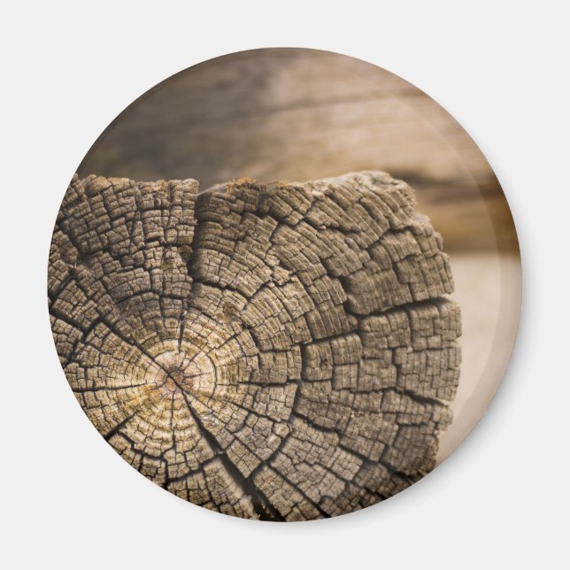 Alte Cabin Textures Magnet (Vorne)