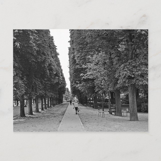 Alte Dame, die im Sommer im Pariser Park spaziert Postkarte (Vorderseite)
