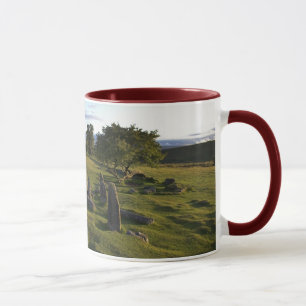 Alte Dartmoor Regelungs-Tasse Tasse