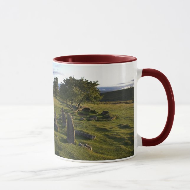 Alte Dartmoor Regelungs-Tasse Tasse (Rechts)