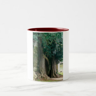 Alte Eiben Zweifarbige Tasse