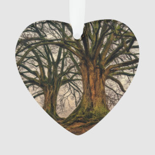 Alte Eiche im Winter Ornament