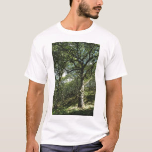 Alte Eichen T-Shirt
