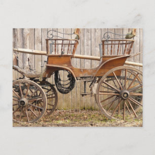 Alte elegante Pferdekutsche Buggy Postkarte