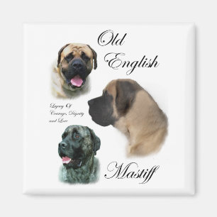 Alte englische Mastiff-Geschenke Magnet