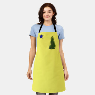 alte Flagge beibehalten (1901) Schürze