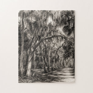 Alte Florida-Eichenhammock-Graphit-Skizze   Rockle Puzzle