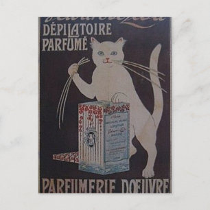 Alte französische Werbung - Katzen Postkarte