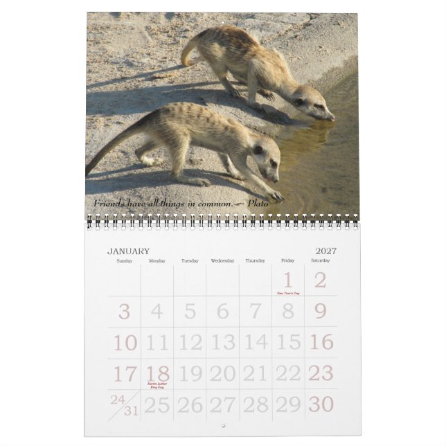 Alte Freunde, neue Freunde - FKMP Kalender 2011 (Jan 2027)