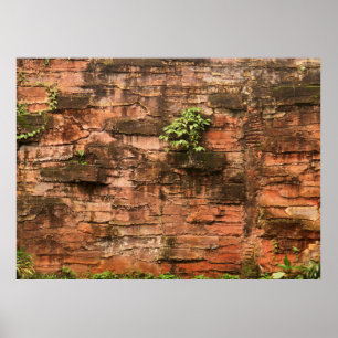 Alte gebrochene Backsteinwand Poster