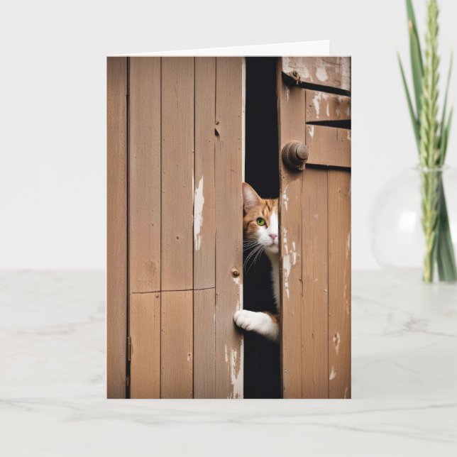 Alte Geburtstagskatze Karte (Vorderseite)